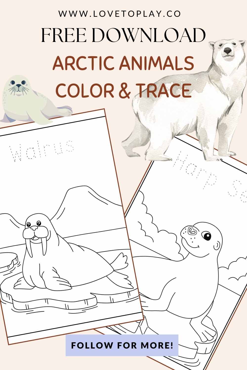 Arctic animals Color and Trace